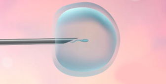 郑州试管代怀公司机构排名（郑州助孕机构成功率对比）