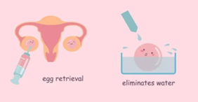 郑州最大的试管试管代怀公司（郑州试管试管代怀公司排名对比）