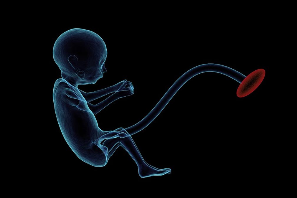 郑州试管助孕中心(郑州试管助孕中心的成功案例)