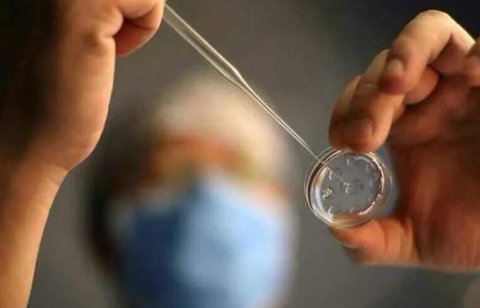 郑州三代试管婴儿是否能选择性别,郑州三代试管婴儿是否能选择性别呢