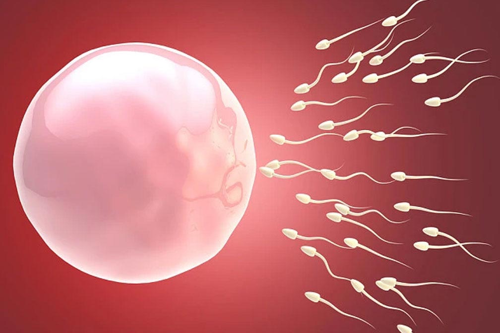 郑州同性恋想要孩子怎做（郑州同性恋孩子流程）